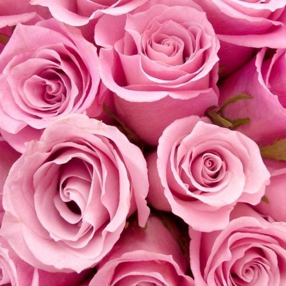 Meet your Posher, Tal